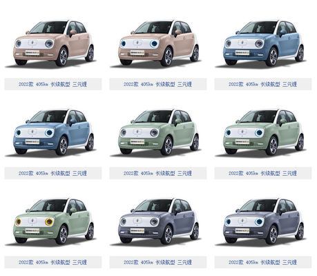 301-405KM Great Wall Motor EV Great Wall ORA Black Cat Ev Pin LFP