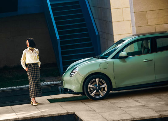 5 Cửa 5 Chỗ Great Wall Motor EV ORA Good Cat Ev 401-501KM