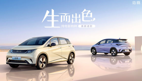 Pure Electric Mini Byd Dolphin Ev 301-405KM 5 Cửa 5 Chỗ